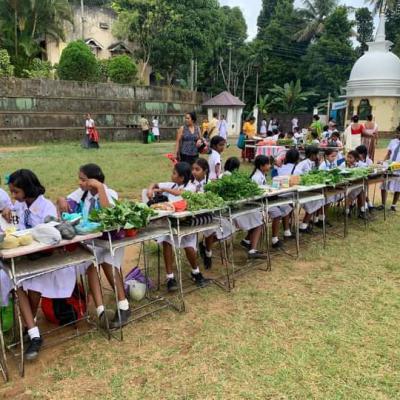 වාර්ෂික පොළ